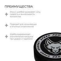 Шайба хоккейная Winter Star, взрослая, d=7,6 см