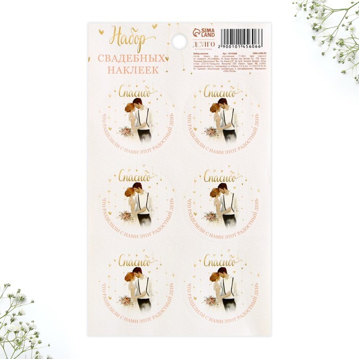 Набор наклеек на свадьбу "Молодожены", 9,3 х 16 см