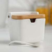 Банка для сыпучих продуктов Доляна «Акцент», 280 мл, 9,5×9×9,5 см, с ложкой