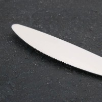 Нож столовый Доляна «Равингтон», h=22,3 см, цвет серебряный