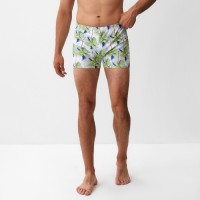 Купальные трусы мужские MINAKU "Пальмы", р-р 50
