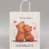 Пакет подарочный бумажный, «Моя Капибара», 32×26×11 см Пакет подарочный бумажный, «Моя Капибара», 32×26×11 см