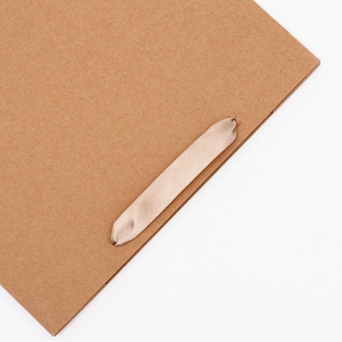 Пакет крафт без печати, горизонтальный, 27×10×21 см 260 г/м²