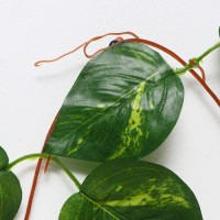 Лиана "Лист с полоской" 250 см (цена за 1 шт, в упаковке 5 шт)