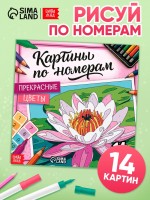 Раскраска картина по номерам «Прекрасные цветы», 14 картин