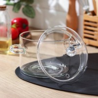 Кастрюля огнеупорная Magistro «Лия», 1,2 л, 20×14 см, цвет прозрачный