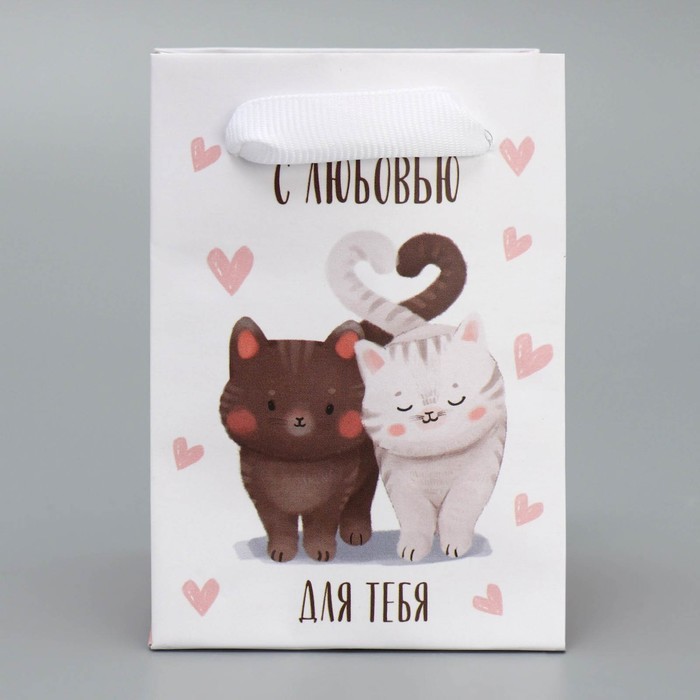 Пакет подарочный ламинированный, упаковка, «Котики», 7 х 10 х 7 см Пакет подарочный ламинированный, упаковка, «Котики», 7 х 10 х 7 см