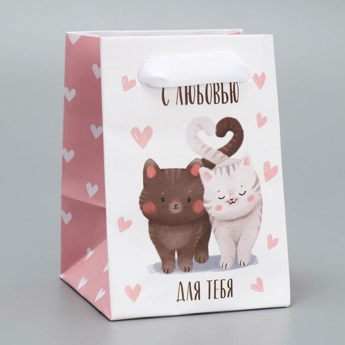 Пакет подарочный ламинированный, упаковка, «Котики», 7 х 10 х 7 см Пакет подарочный ламинированный, упаковка, «Котики», 7 х 10 х 7 см