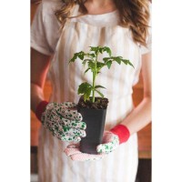 Горшок для рассады, 600 мл, 8 × 8 × 15 см, цвет МИКС, Greengo