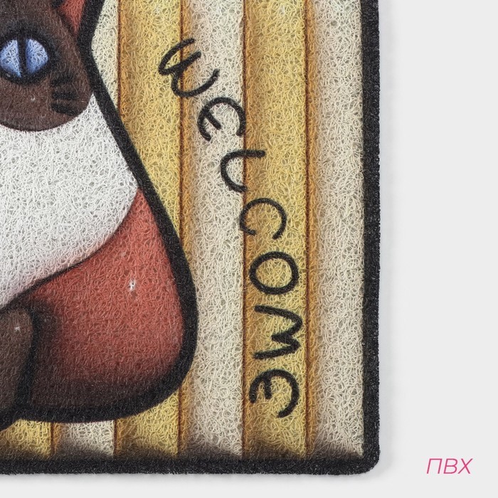 Коврик придверный Доляна «Котик», ПВХ, 40×60 см