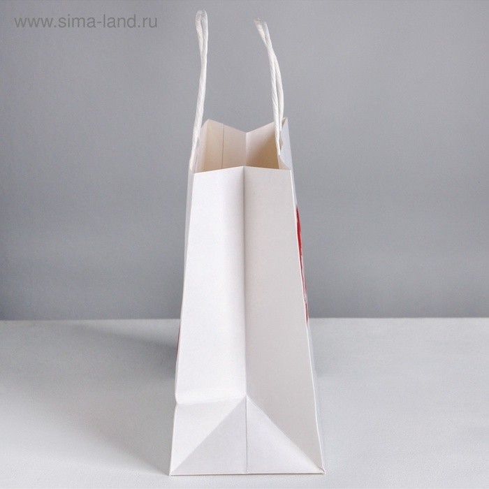 Пакет подарочный, упаковка, «Бесишь», 22×22×11 см