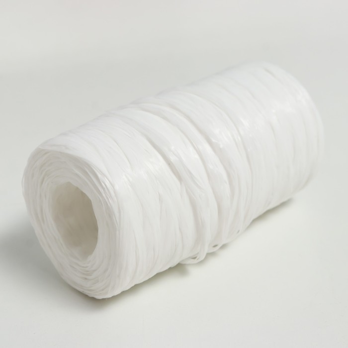 Пряжа "Для вязания мочалок" 100% полипропилен 300м/75±10 гр (белый матовый)
