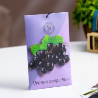 Аромасаше "Чёрная смородина", 10 г, "Богатство Аромата"