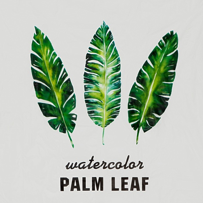 Штора для ванной Доляна «Тропики», 180×180 см, EVA Штора для ванной Доляна «Тропики», 180×180 см, EVA