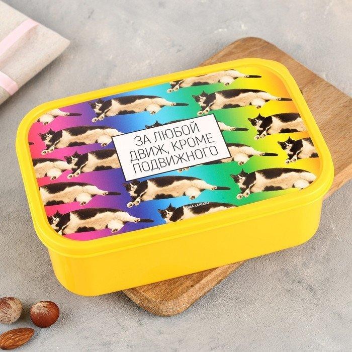Ланч - бокс прямоугольный «За любой движ, кроме подвижного», 1200 мл