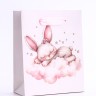 Пакет подарочный вертикальный «Зайка», S 12×15×5.5 см