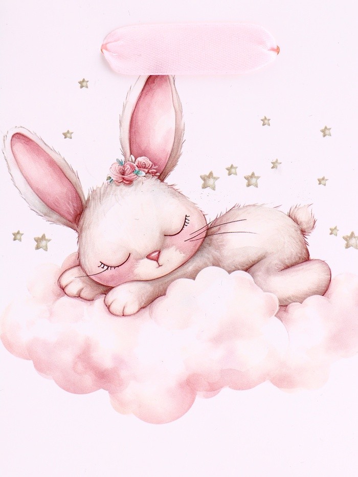 Пакет подарочный вертикальный «Зайка», S 12×15×5.5 см