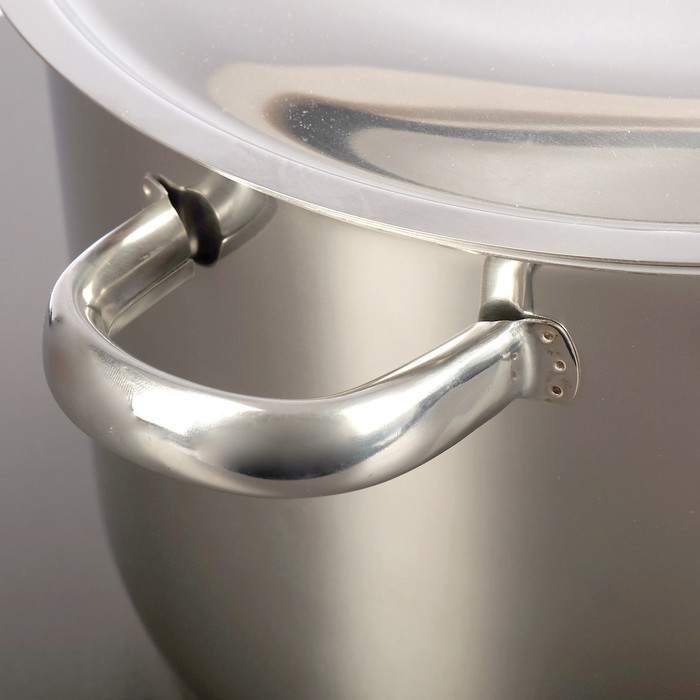 Кастрюля цельнотянутая «Профи», 10 л, d=28 см, металлическая крышка, с теплораспределительным слоем, капсульное дно, цвет серебряный