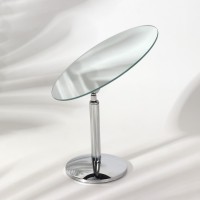 Зеркало настольное, зеркальная поверхность 12 × 17,7 см, цвет серебристый