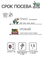 Семена Редис "Саксон", 1,5 г