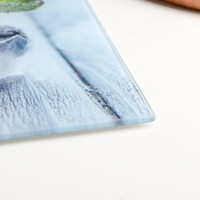 Доска разделочная Доляна «Ледяная свежесть», 30×20 см