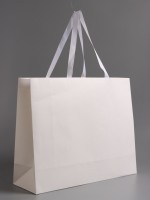 Пакет подарочный ламинированный горизонтальный «Белый», 48×39×16 см