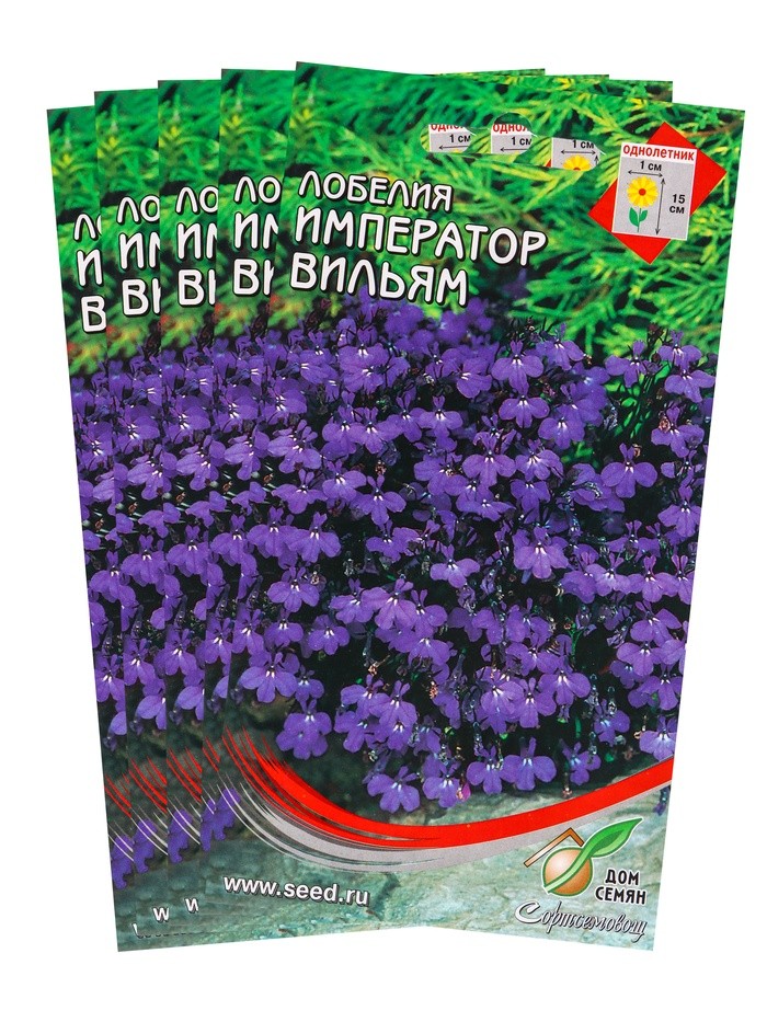 Набор семян Лобелия "Император Вильям", 5 шт.