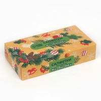 Салфетки бумажные в коробке «Новый год! Зимний уют», 100 шт., двухслойные