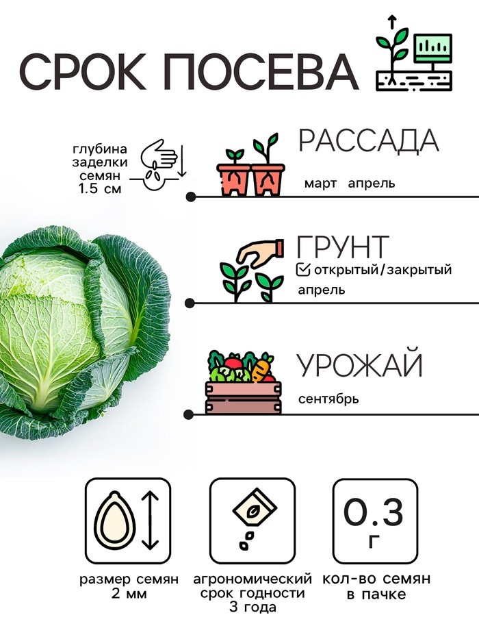 Семена Капуста б/к "Зимовка 1474", 0,1 г