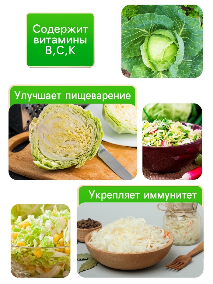 Семена Капуста б/к "Зимовка 1474", 0,1 г