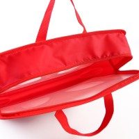 Папка пластиковая с ручками А4, на молнии, 8×33×24 cм, «Человек-паук»