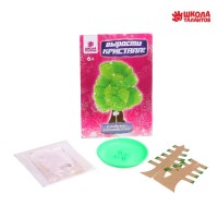 Выращивания кристалла «Волшебное дерево», цвет зелёный