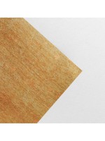 Бумага упаковочная глянцевая двухсторонняя «Present», 70×100 см