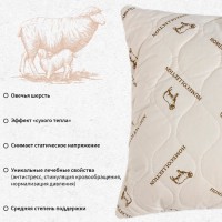 Подушка "Этель", подстёжка — овечья шерсть, 50х70 см, тик