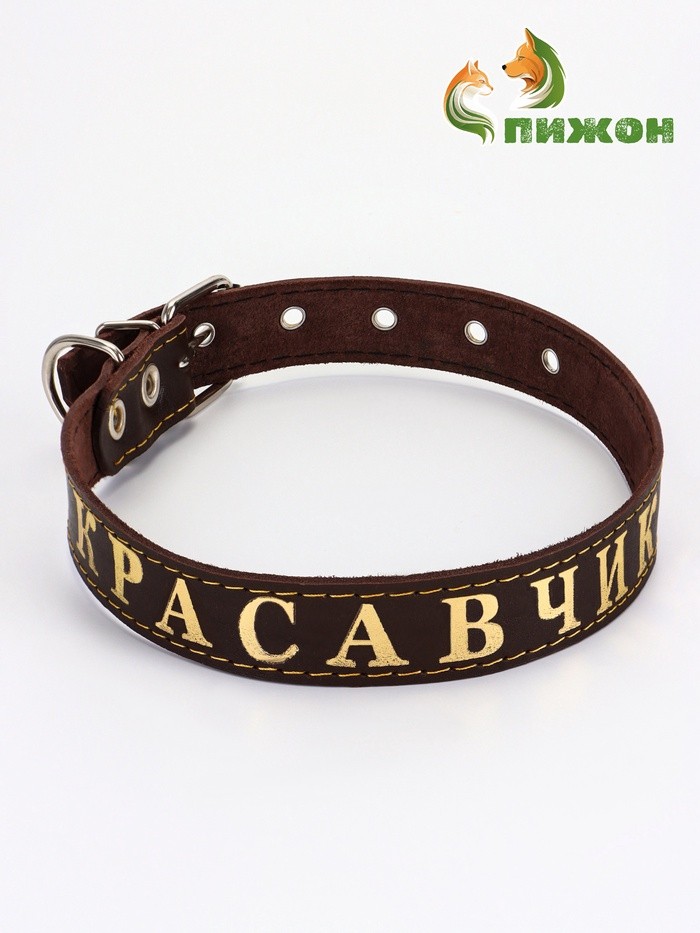 Ошейник «Красавчик», 2.5 см, однослойный, тиснение фольгой, кожа, цвет МИКС