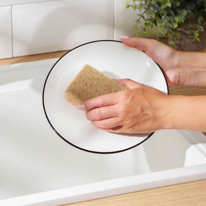 Набор губок для мытья посуды Raccoon «Ренессанс», 2 шт., 9×6.5×3.5 см, крупнопористый поролон, бежевый