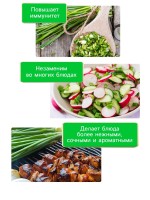 Семена Лук порей "Карантанский", 0,1 г