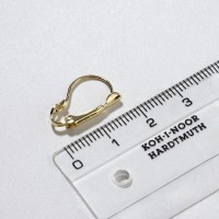 Швензы для сережек с французской застёжкой, 19 мм (набор 5 пар), цвет золото