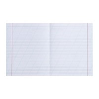 Набор тетрадей 12 листов в косую линейку «Зелёная обложка», 60 г/м², белые листы, 20 шт.