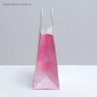 Пакет подарочный крафтовый, упаковка, «Present for you», 22×25×12 см