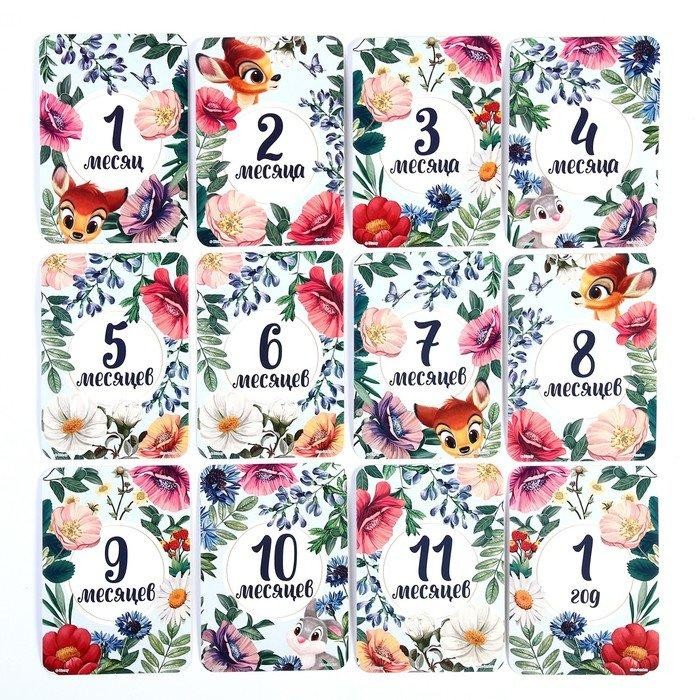 Набор карточек для фотосессий, Дисней