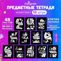 Набор предметных тетрадей 48 листов, «Комикс Аниме», 12 предметов