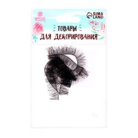 Реснички, набор 2 шт., размер 1 шт. 20 × 0,8 см, цвет чёрный