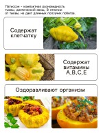 Семена Патиссон "Солнышко", 0,5 г