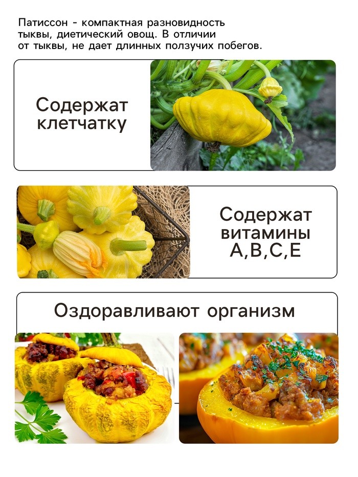 Семена Патиссон "Солнышко", 0,5 г