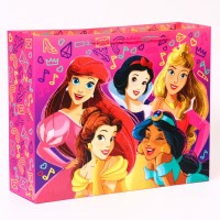 Пакет ламинат горизонтальный "Принцессы",  Принцессы, 50 х 40 х 15