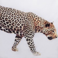 Штора для ванной Доляна «Гепард» с люверсами, 180×180 см, белая