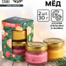 Мёд кремовый новогодний, с кусочками сублимированного апельсина, малины, набор 2 шт.×30 г