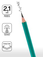 Карандаш чернографитный Calligrata, HB, с ластиком, шестигранный, пластиковый, зелёный корпус