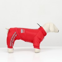 Комбинезон «Спорт» с светоотражающими полосами, размер L (ДС 35, ОГ 45, ОШ 35 см), красный